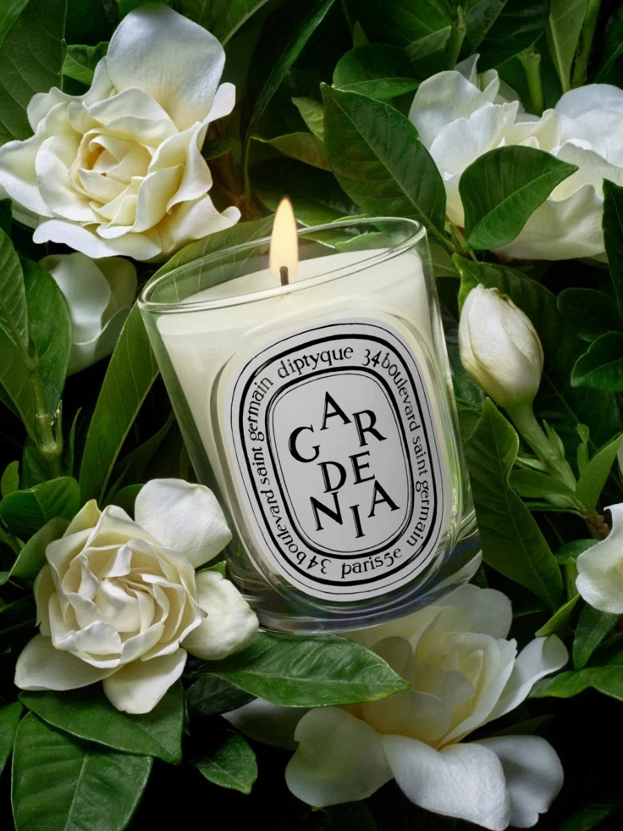 GARDENIA CLASSIC CANDLE CLASSIC - 6.7 OZ