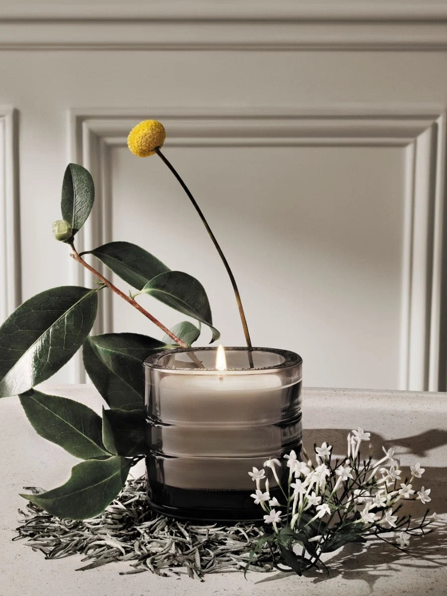 LA VALLÉE DU TEMPS (VALLEY OF TIME) SIGNATURE CANDLE MEDIUM - 9.5 OZ
