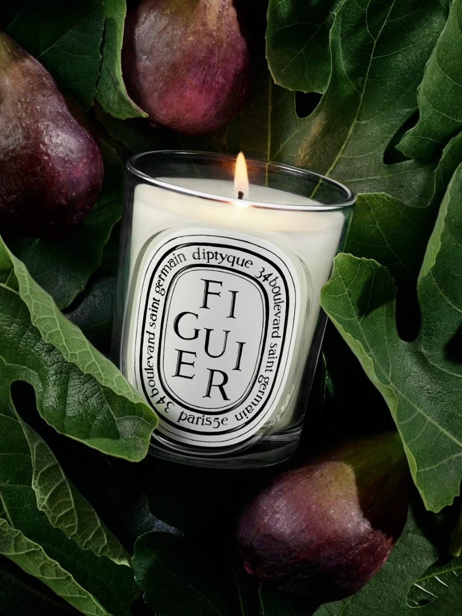 FIGUIER (FIG TREE) CLASSIC CANDLE CLASSIC - 6.7 OZ