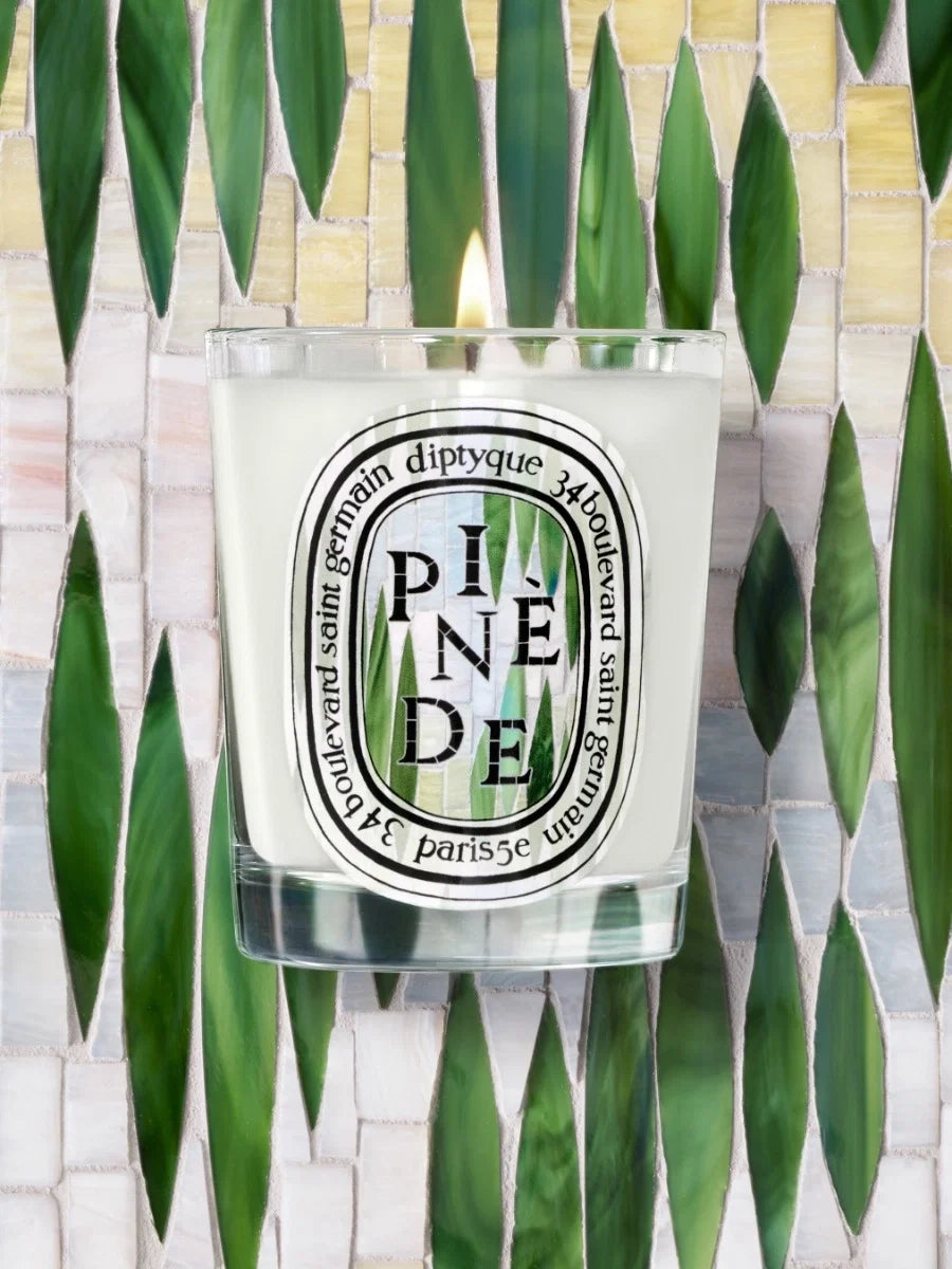 PINÈDE (PINE GROVE) CLASSIC CANDLE CLASSIC - 6.7 OZ