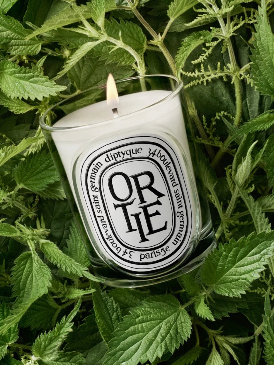 ORTIE (NETTLE) CLASSIC CANDLE CLASSIC - 6.7 OZ